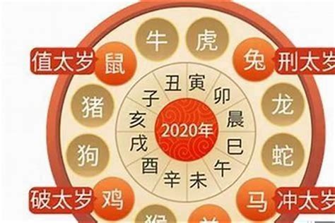 2023属虎|属虎的人2023年整体运势及运程详解